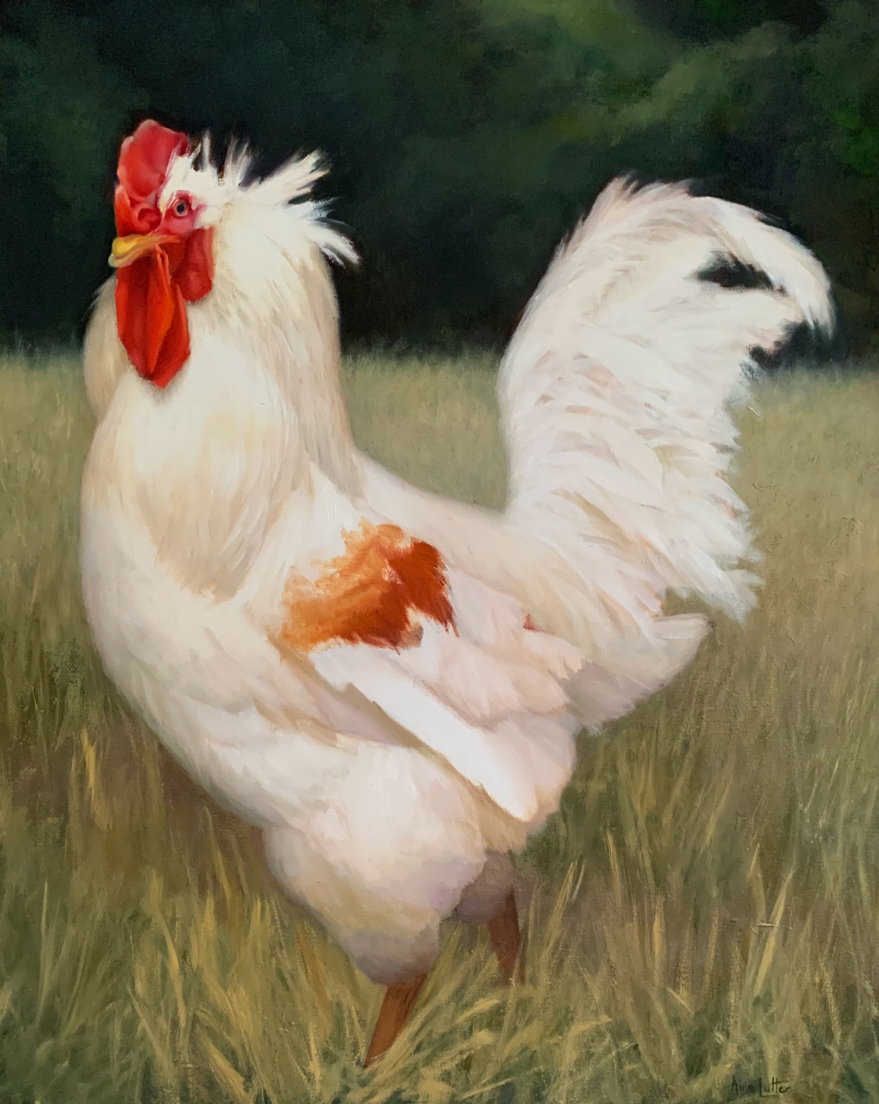 Painting of chicken