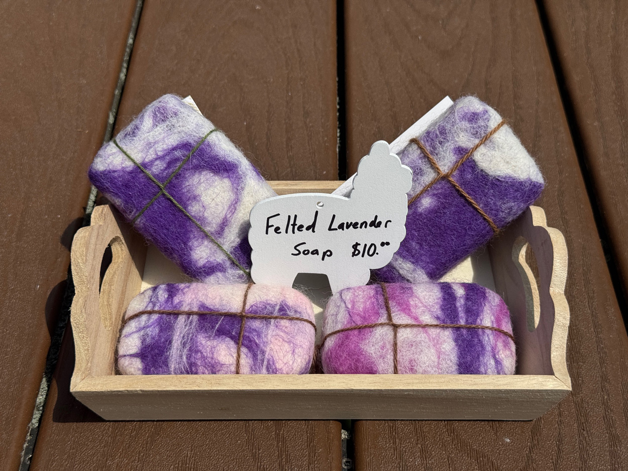 Photo of felted creation