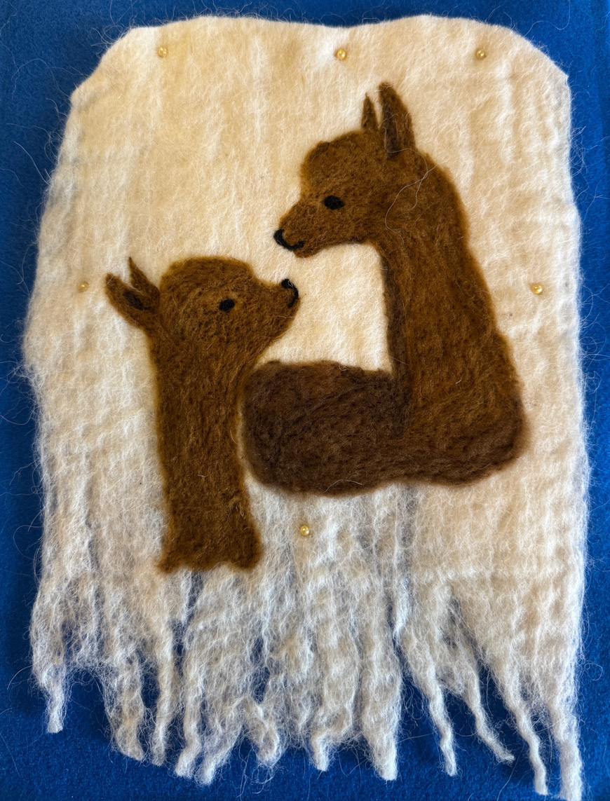 Photo of felted creation