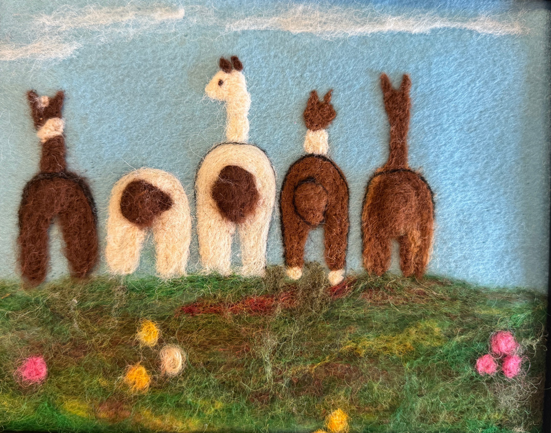 Photo of felted creation