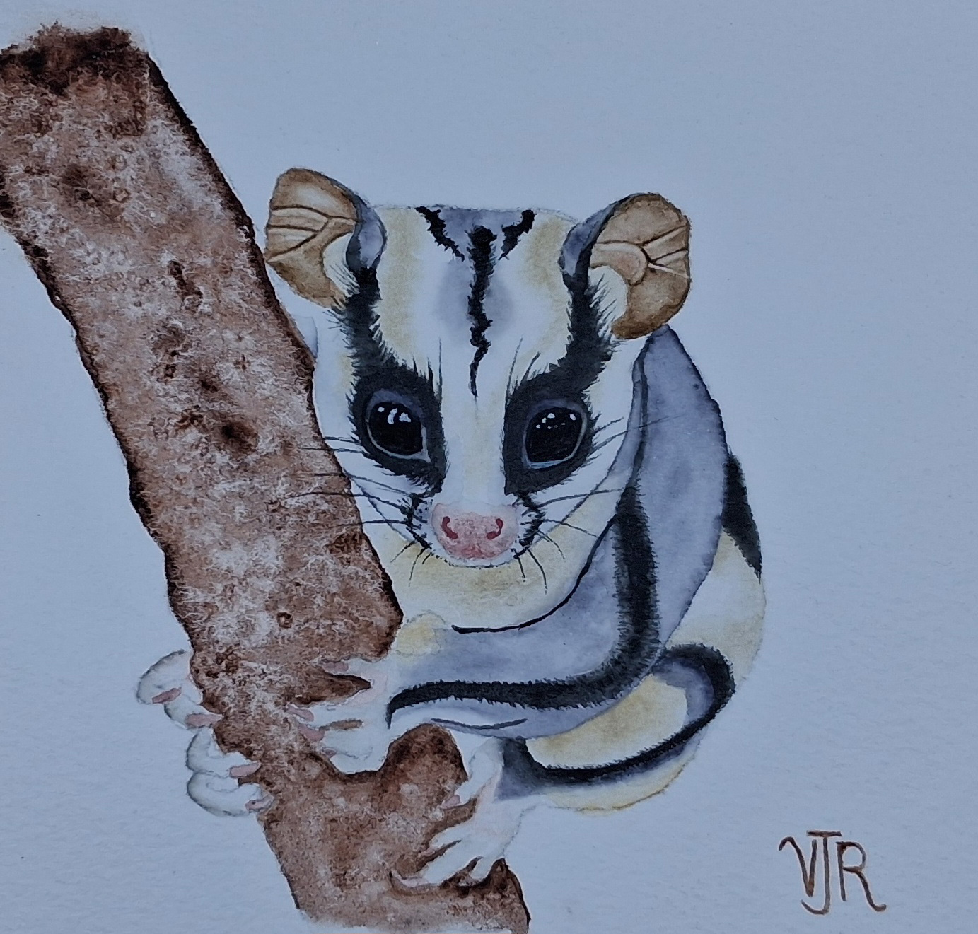 Watercolour painting of lemur