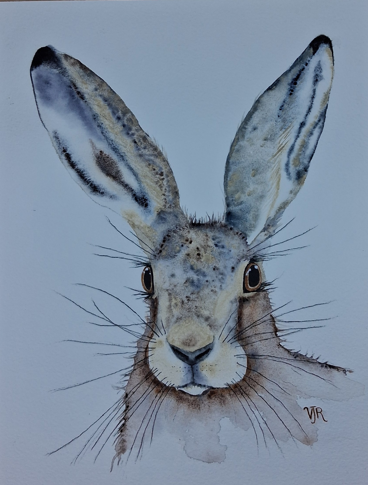 Watercolour painting of rabbit