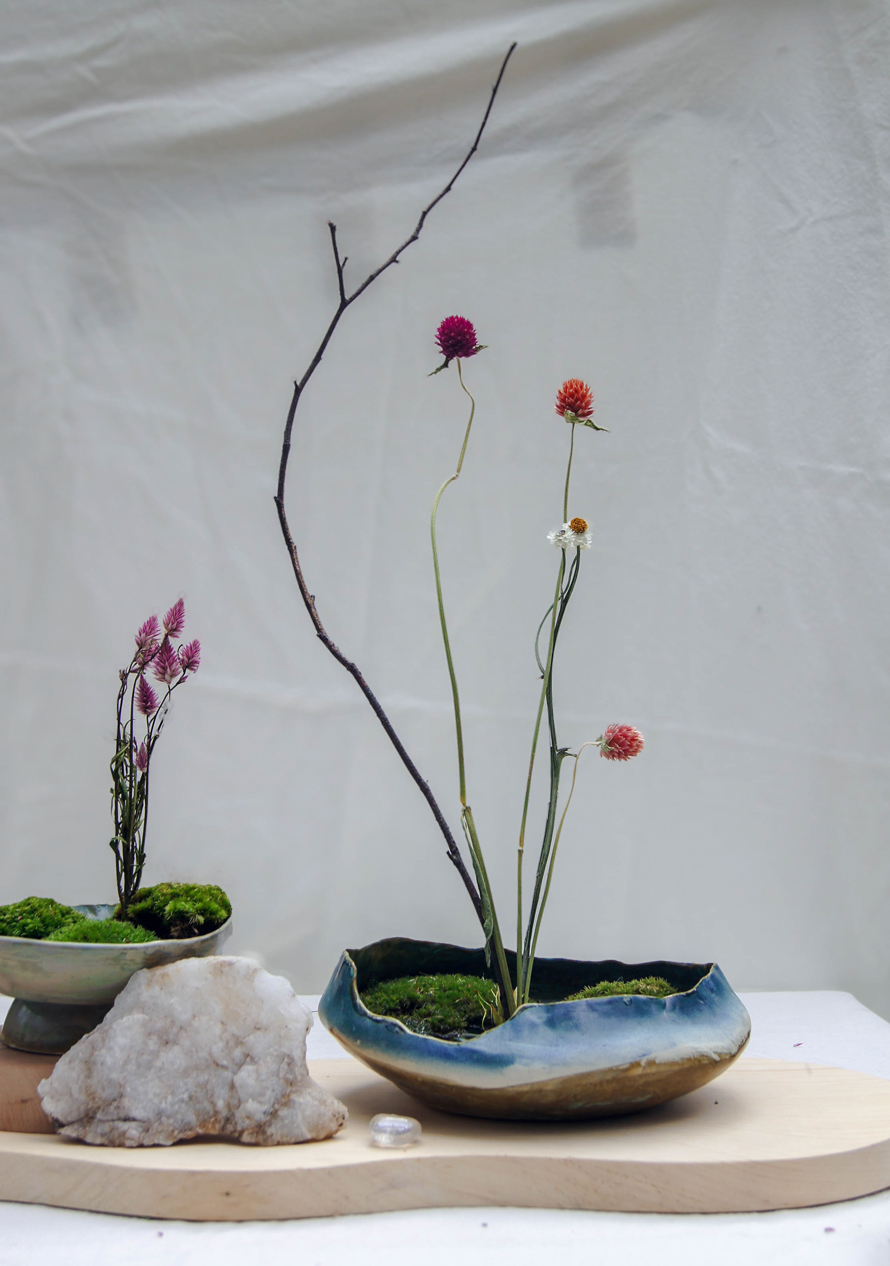 Photo of artistic ceramic bowls with plants