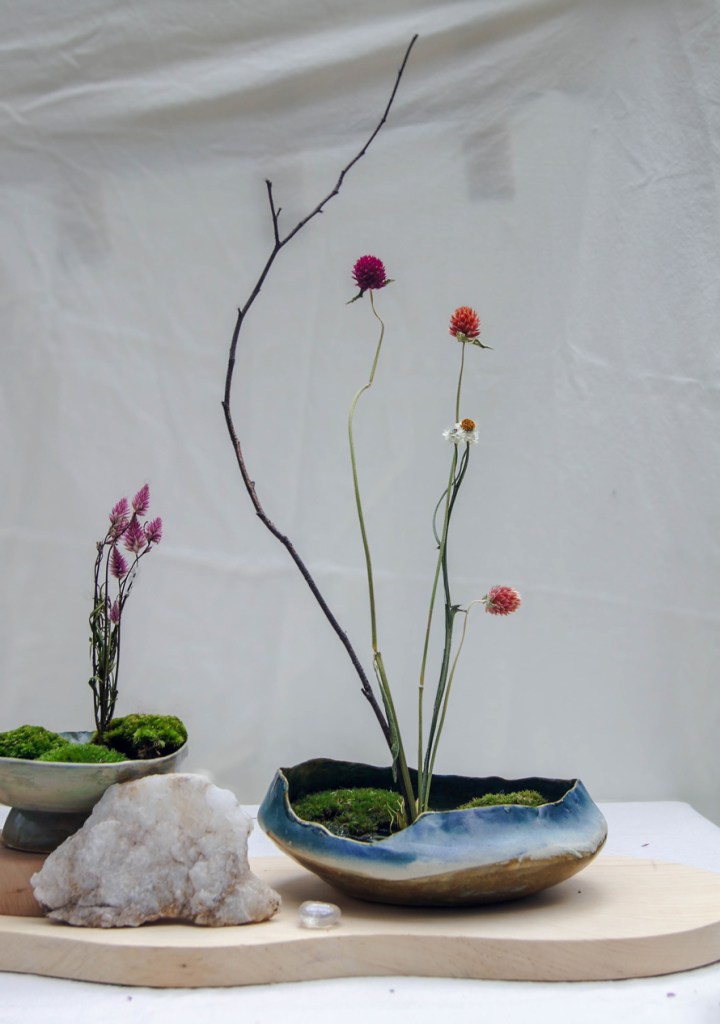 Photo of artistic ceramic bowls with plants