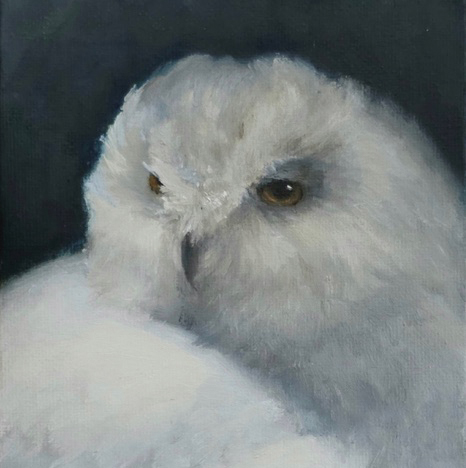Painting of white owl at night in muted colours